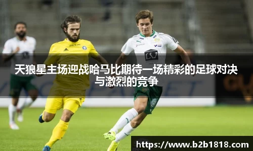 天狼星主场迎战哈马比期待一场精彩的足球对决与激烈的竞争